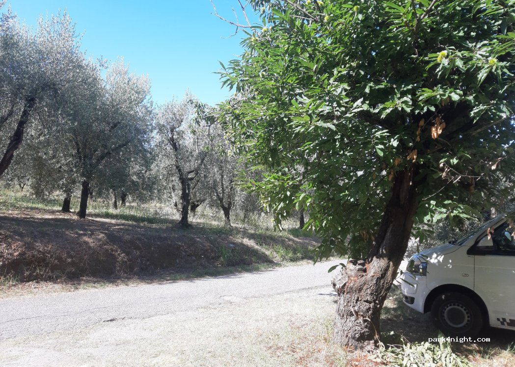 (51011) Montevettolini - 1A Via Castelvecchio — foto