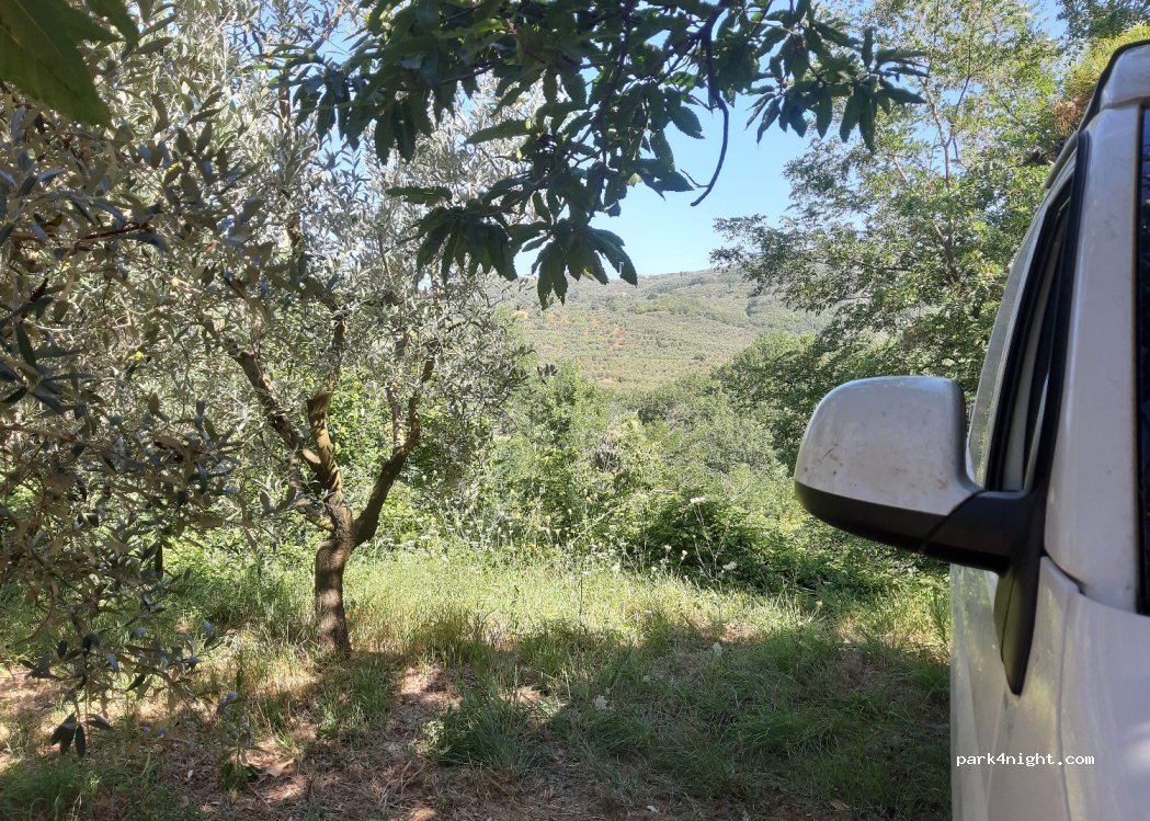 (51011) Montevettolini - 1A Via Castelvecchio — foto 3