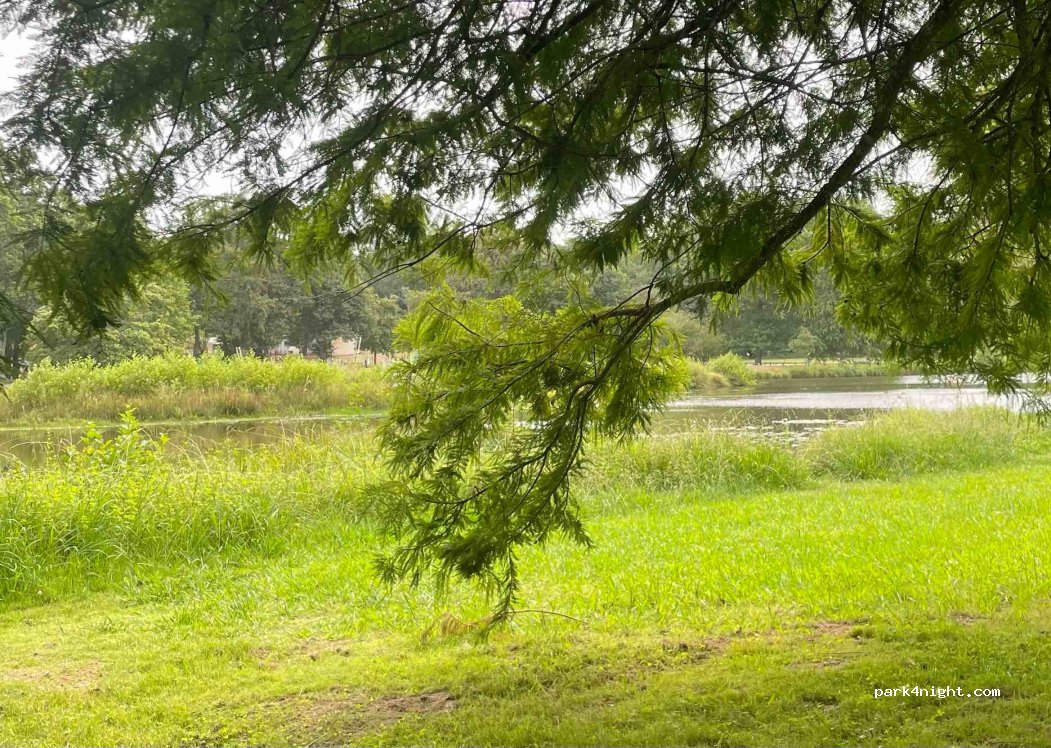 (40990) Saint-Paul-lès-Dax - 735 Allée du Plumet — foto
