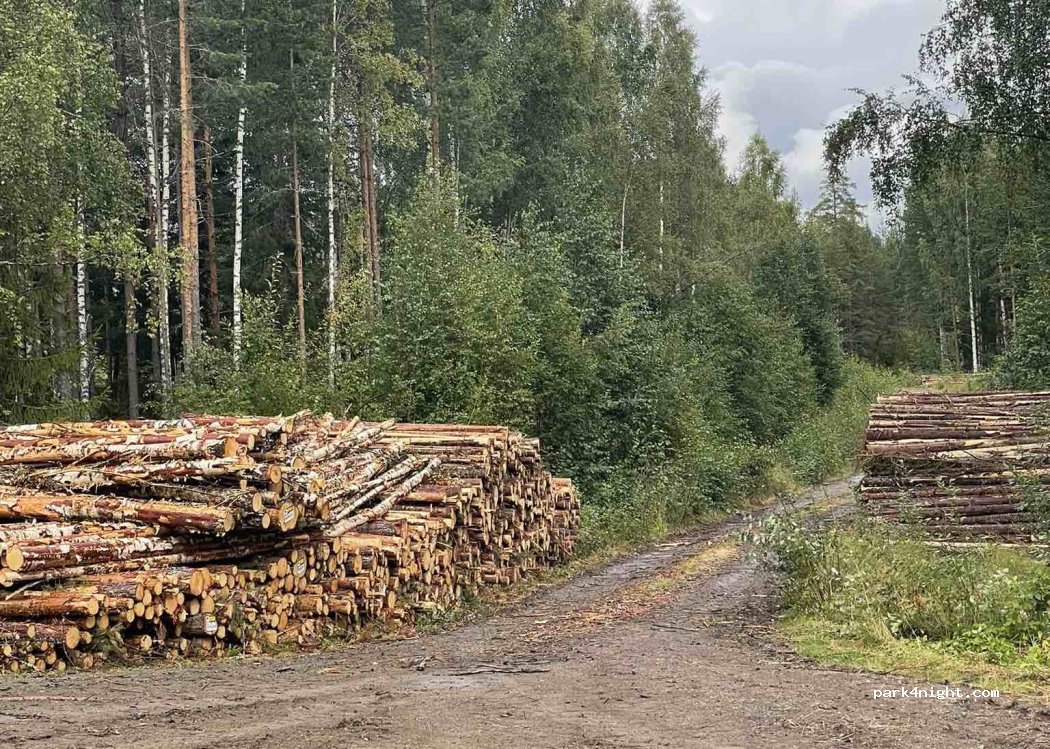 (791 30) Falun - — foto 3