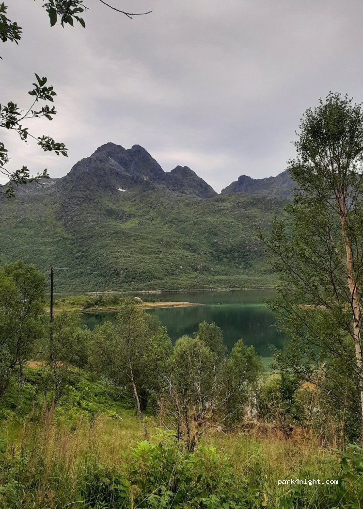 (8325) Tengelfjorden - Fv868 — foto
