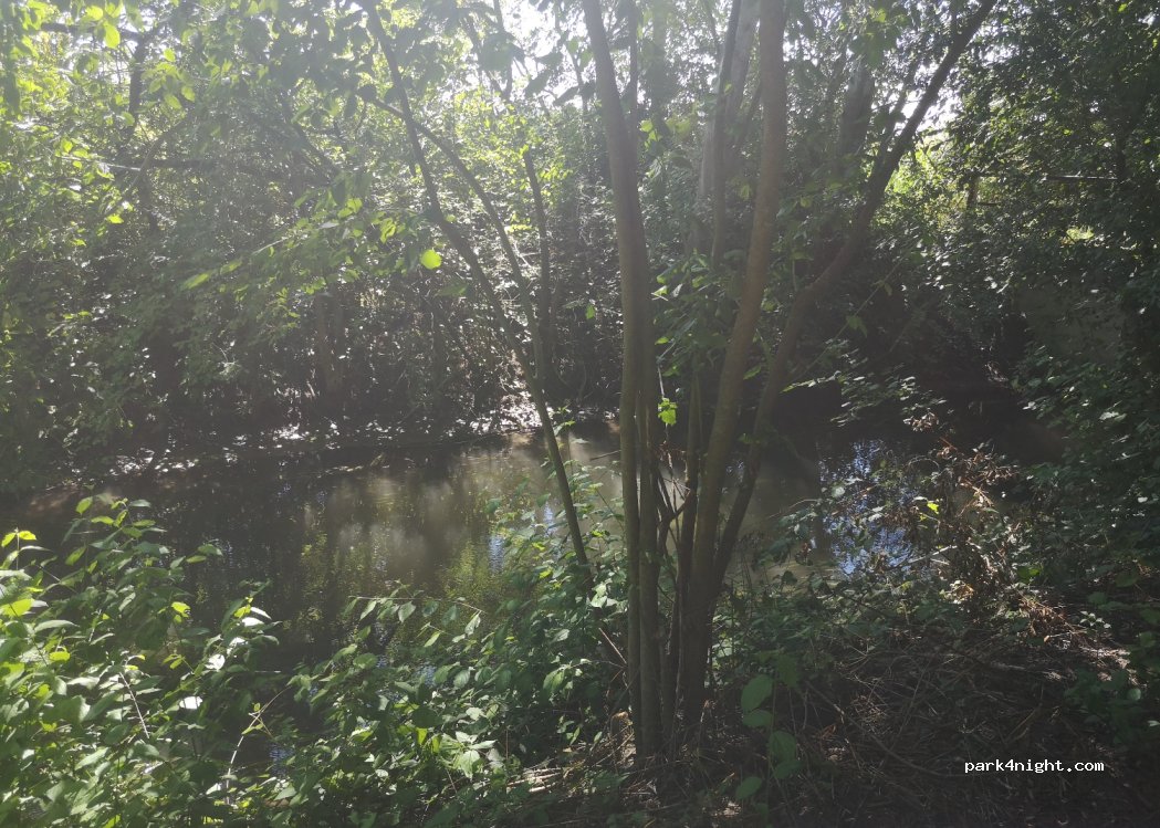 (67230) Diebolsheim - — foto