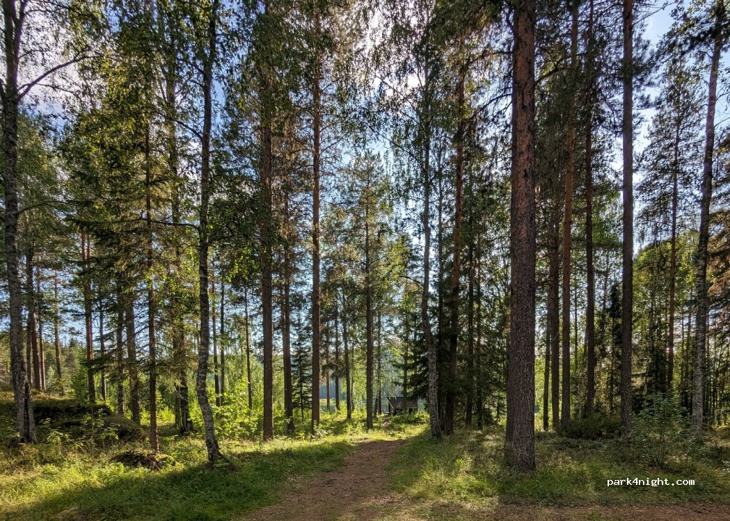 (961 97)  - Stora Vägen — foto 4