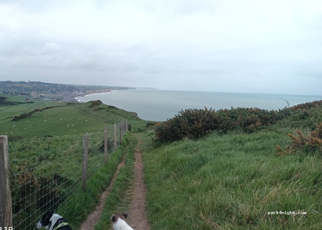 (76119) Sainte-Marguerite-sur-Mer - Route du Phare d'Ailly — foto 5