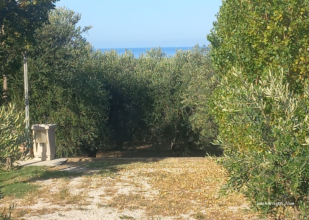 Agriturismo San Gregorio — foto