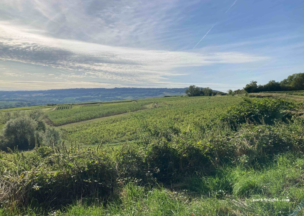 (71150) Sampigny-lès-Maranges - Unnamed Road — foto