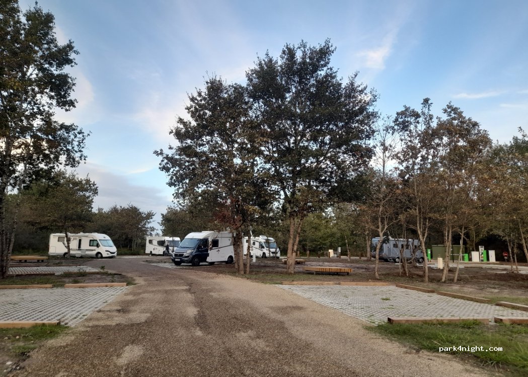 (40110) Morcenx-la-Nouvelle - 293 route de la Forêt — foto 3