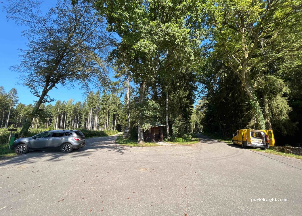 (79801) Hohentengen am Hochrhein - Unnamed Road — foto