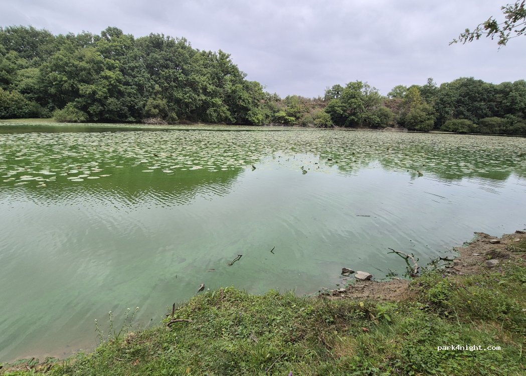 (35640) Martigné-Ferchaud - Taillepied — foto 5