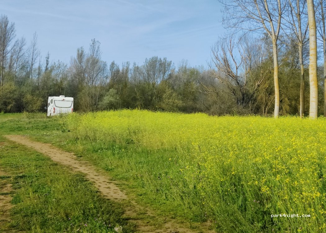 (49620) Santa Cristina de la Polvorosa - — foto 3