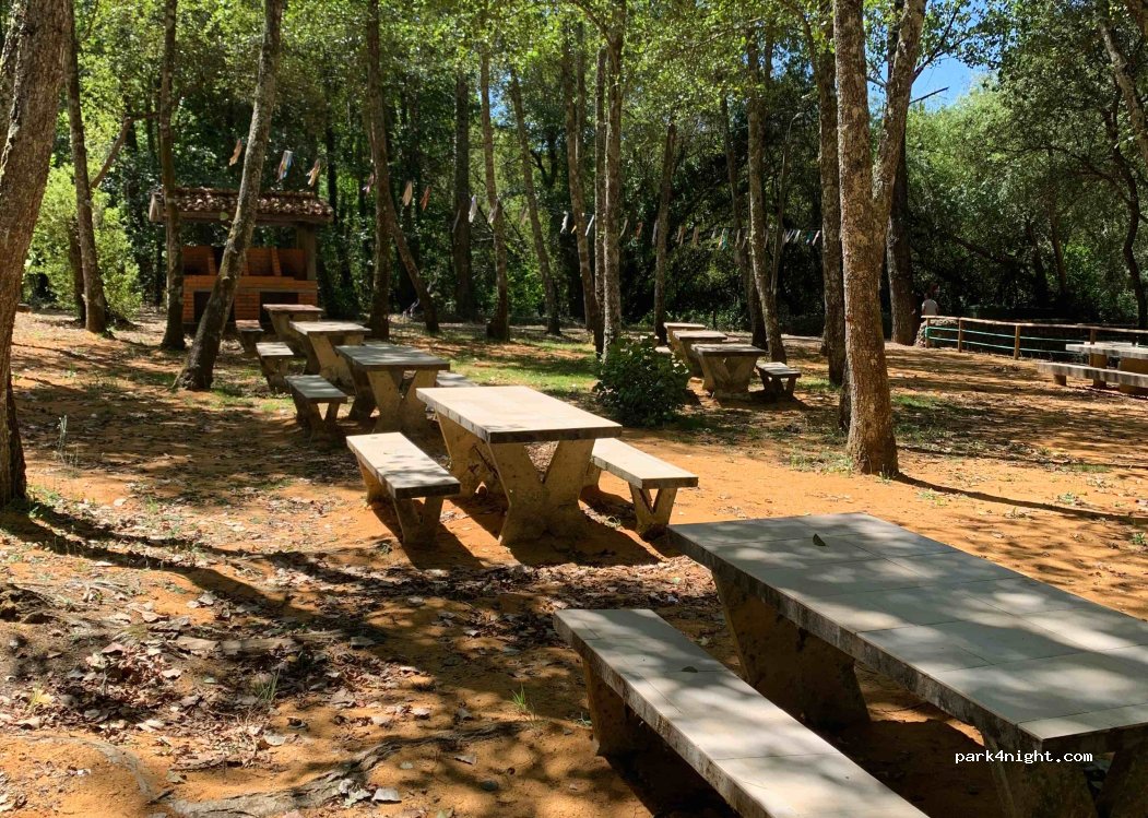 (3770) Oliveira do Bairro - Unnamed Road — foto 3