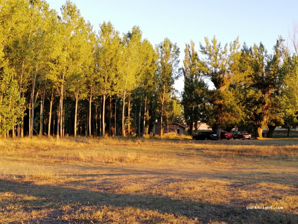 (34257) Palenzuela - P-131 — foto 2
