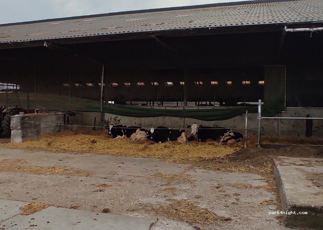 Noorderschorren - Melkveebedrijf & Boerencamping — foto 2