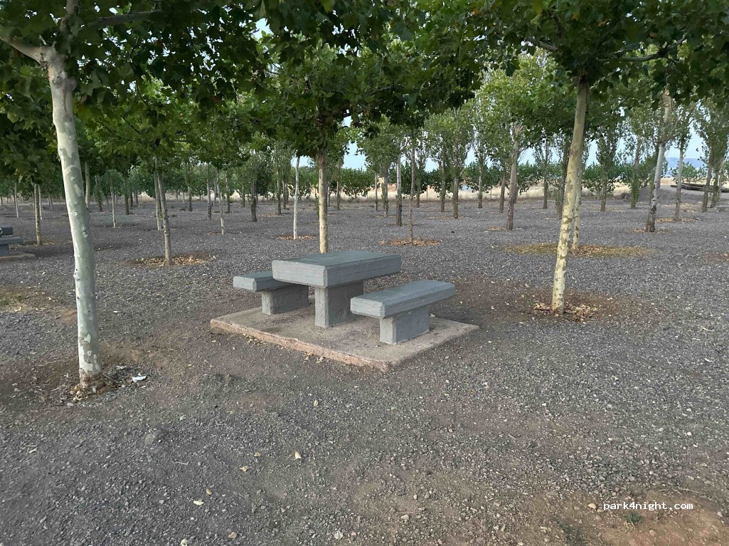 (44490) Ferreruela de Huerva - — foto 4