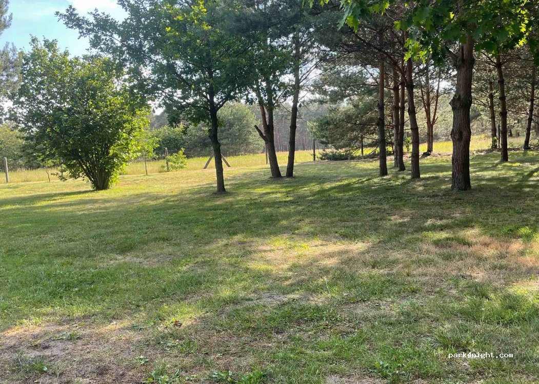 (03253) Doberlug-Kirchhain - Oelsiger Straße 10, Buchhain — foto 2