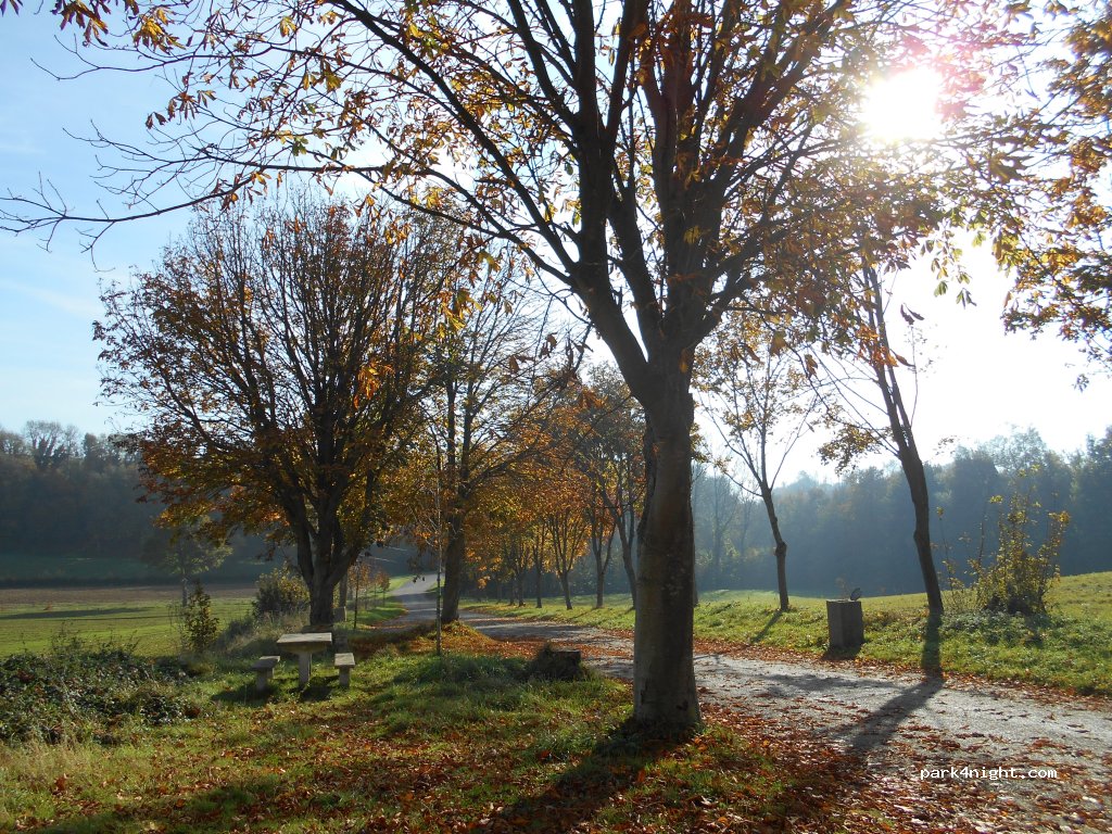 (62630) Cormont - D901 — foto