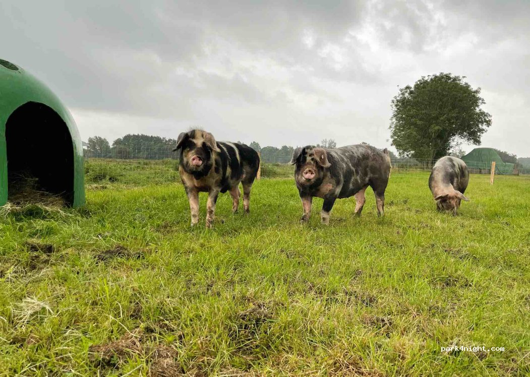 Naturlandhof Leerhoff — foto