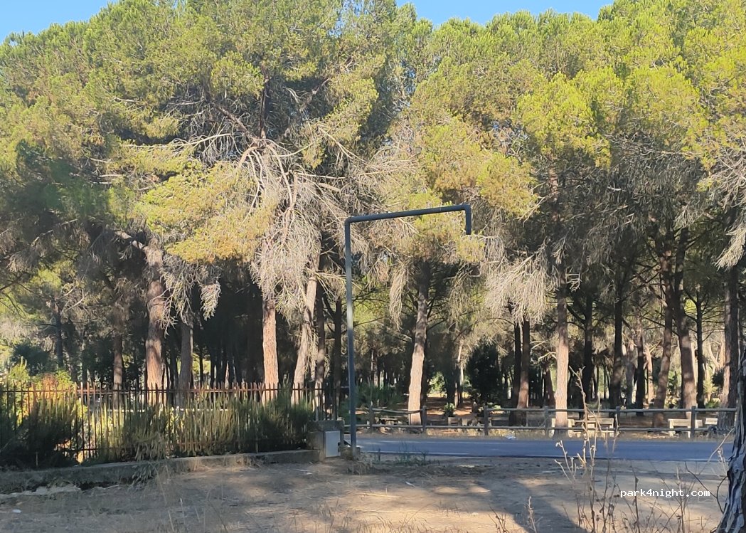 (95041) Santo Pietro - 25 Via degli Achei — foto