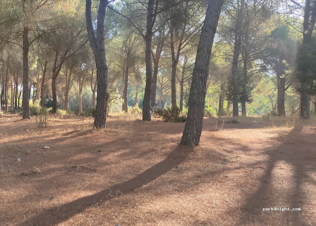 (95041) Santo Pietro - 25 Via degli Achei — foto 4