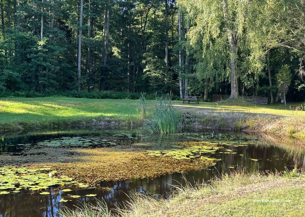 Purvziedi camping — foto 2