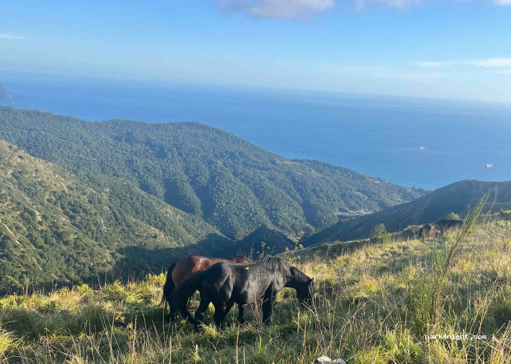 (16133) Genoa - Via da Apparizione a Cisiano — foto 5