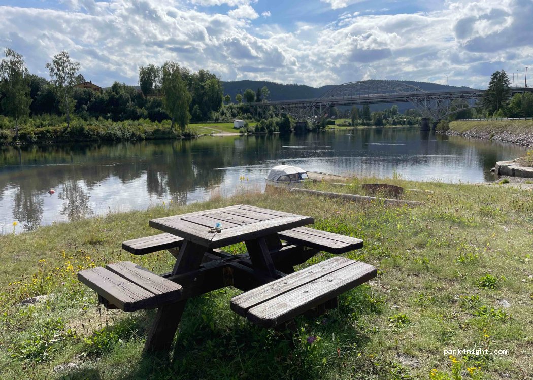 (3825) Lunde - 10 Ajertangen — foto