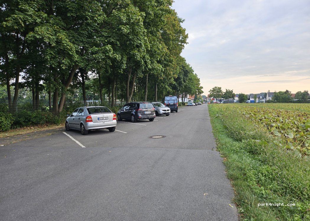 (50769) Köln - 14 Mohlenweg — foto 3