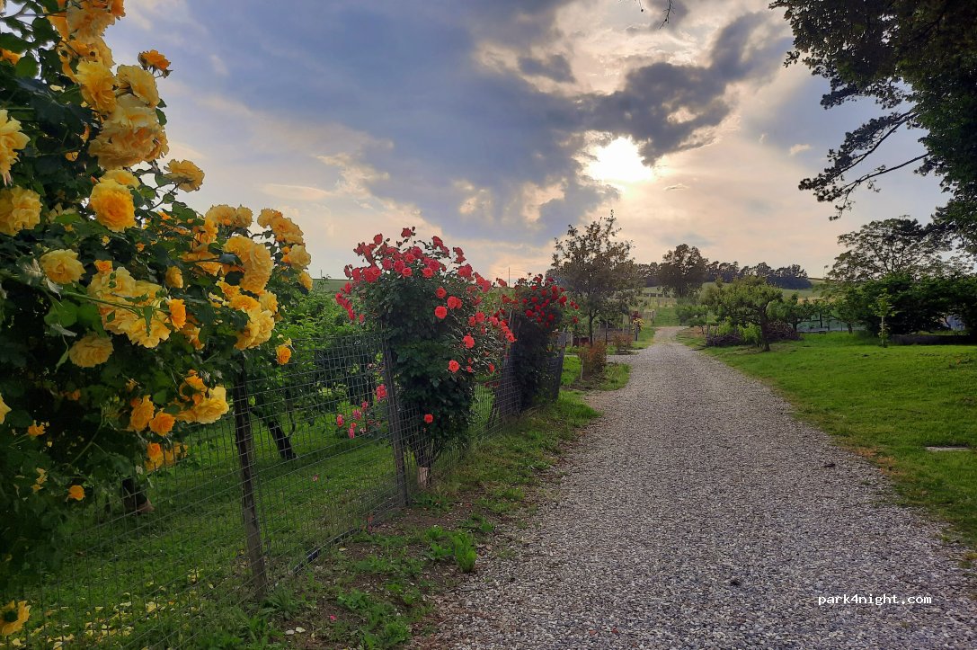 Il giardino di Elena e Paolo — foto 3