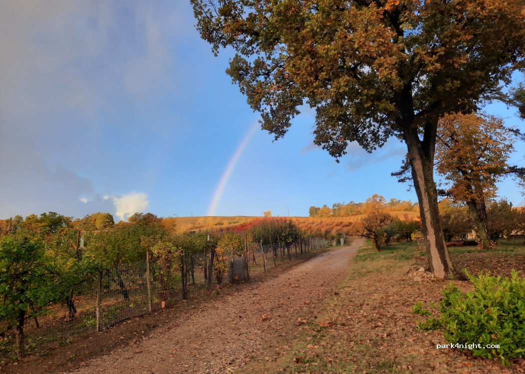 Il giardino di Elena e Paolo — foto 4