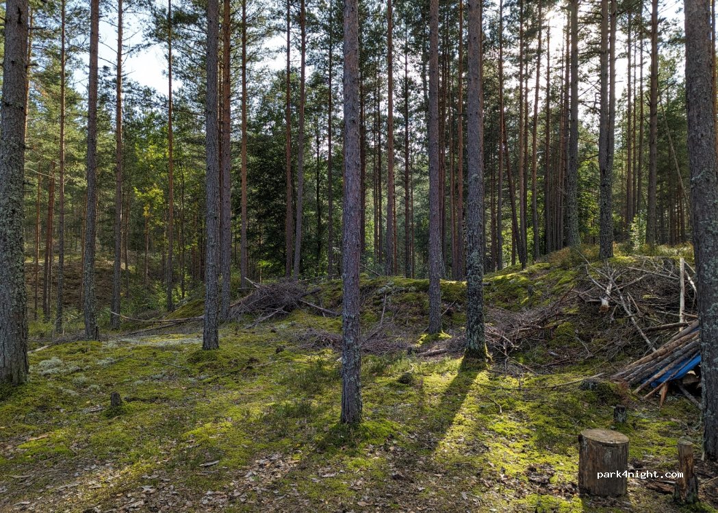 (653 46) Karlstad - — foto