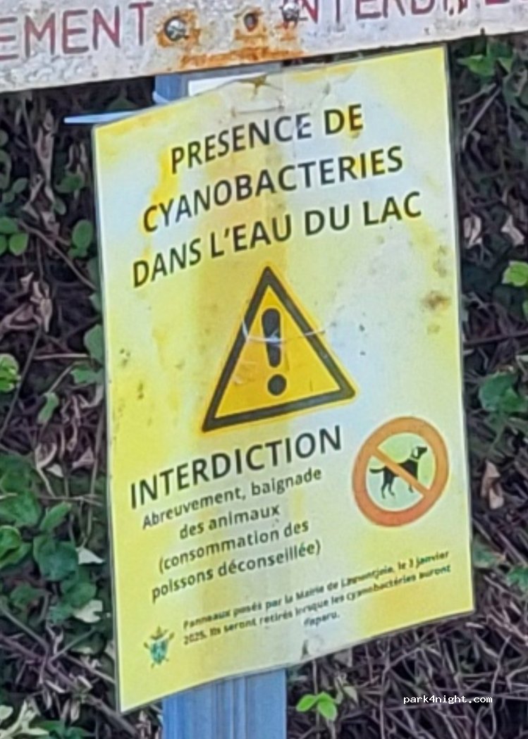 (47310) Lamontjoie - 798 Chemin du Lac — foto 4