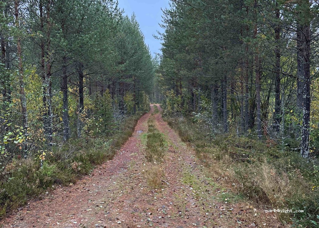 (782 75)  - Unnamed Road — foto 2