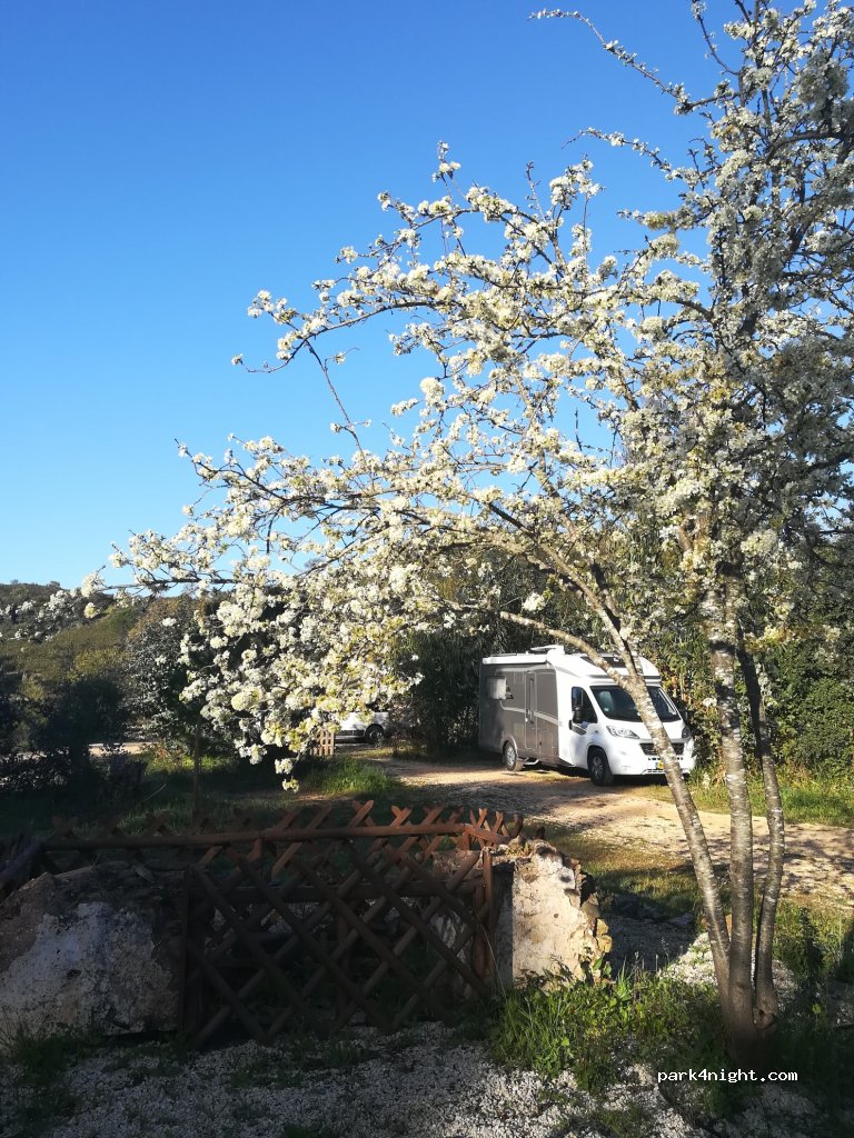 Camperstop Messines — foto