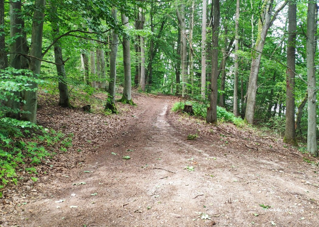 (78-550) Stare Kaleńsko - — foto 3