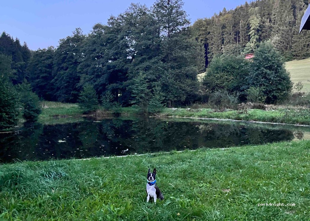 (549 57) Teplice nad Metují - Unnamed Road — foto 4