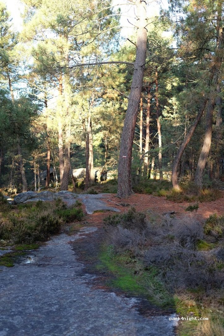 (77300) Fontainebleau - Route de Bel-air — foto
