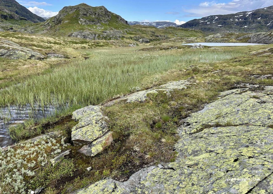 (5760) Røldal - — foto 2