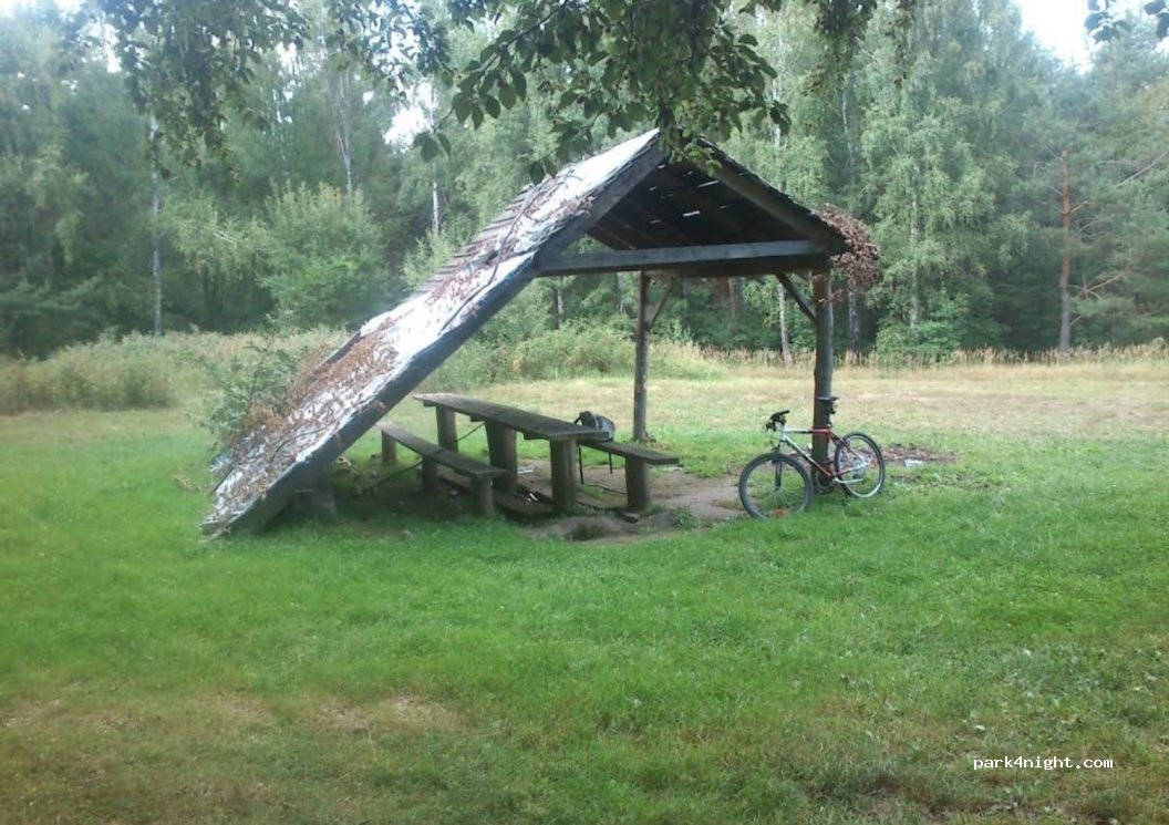 (26) Podmielowiec - — foto 2