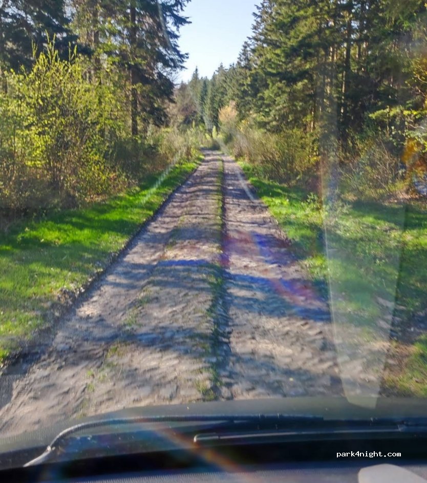 (26) Podmielowiec - — foto 3