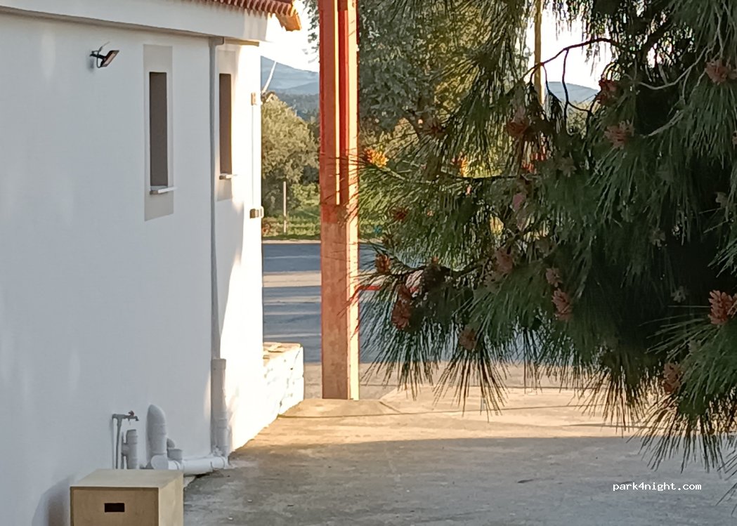 (230 60) Niata - Eparchiaki Odos Apideon-Leonidiou — foto 3