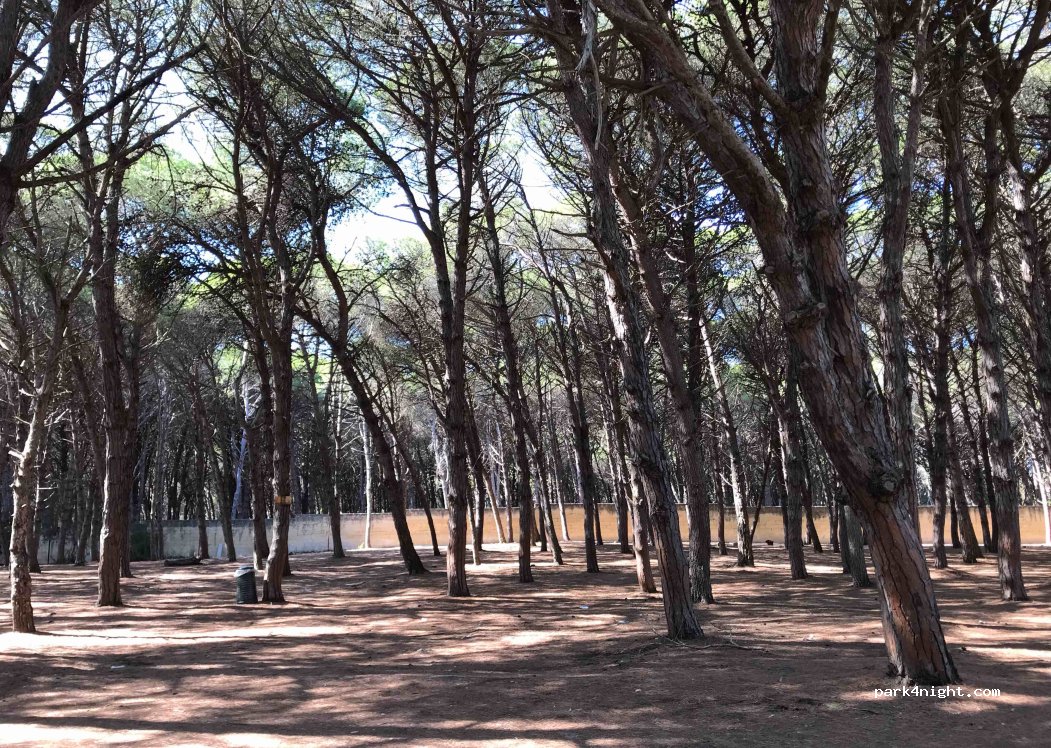 (73029) San Cataldo - Unnamed road — foto