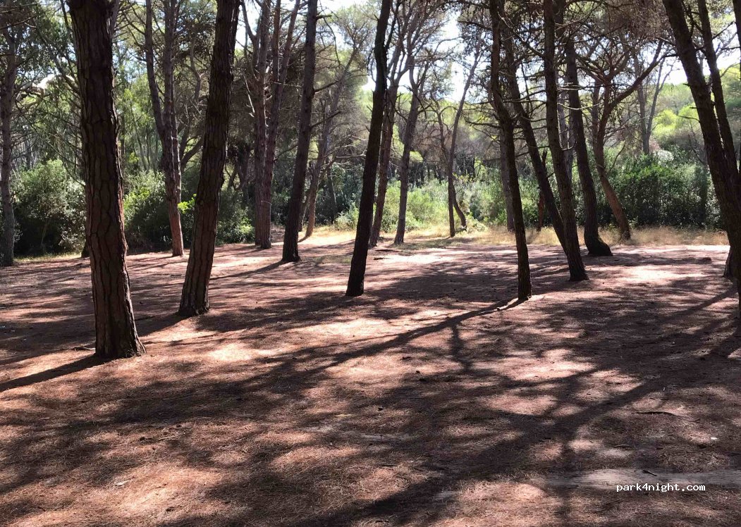 (73029) San Cataldo - Unnamed road — foto 2