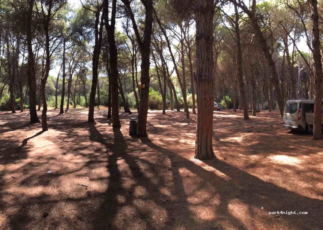 (73029) San Cataldo - Unnamed road — foto 3