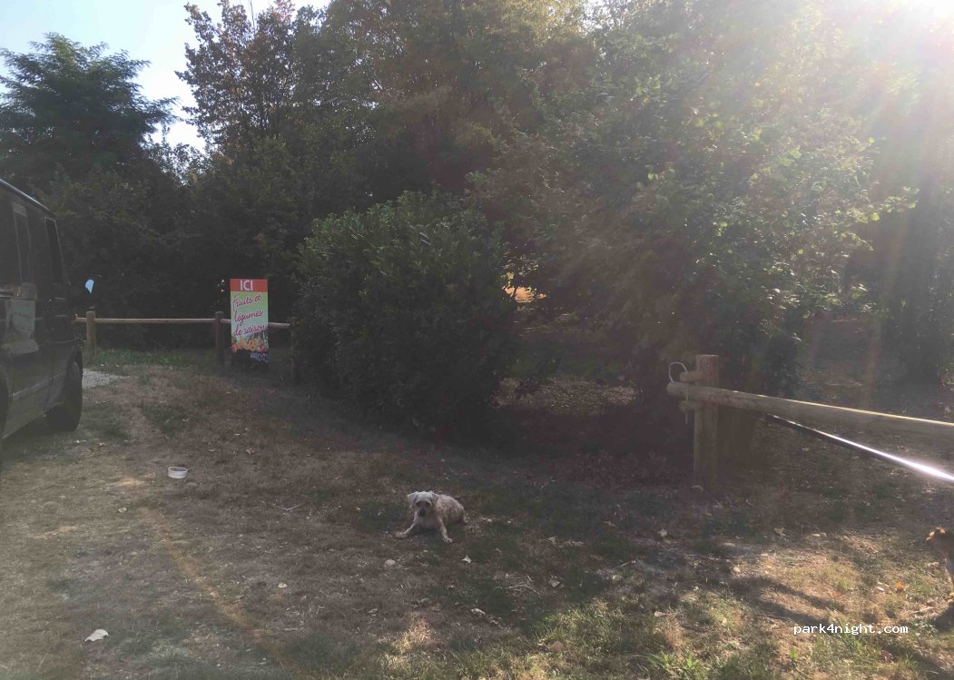 (38150) Chanas - Unnamed Road — foto