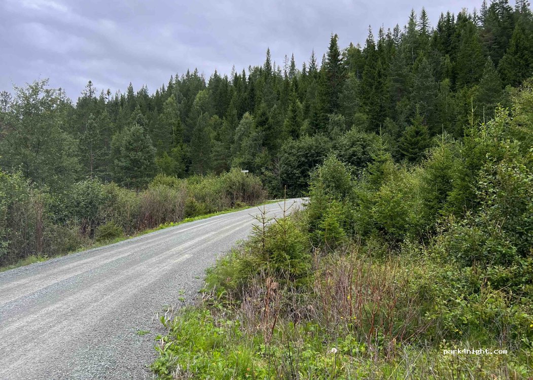 (7550) Selbustrand - 341 Amdalsvegen — foto 2