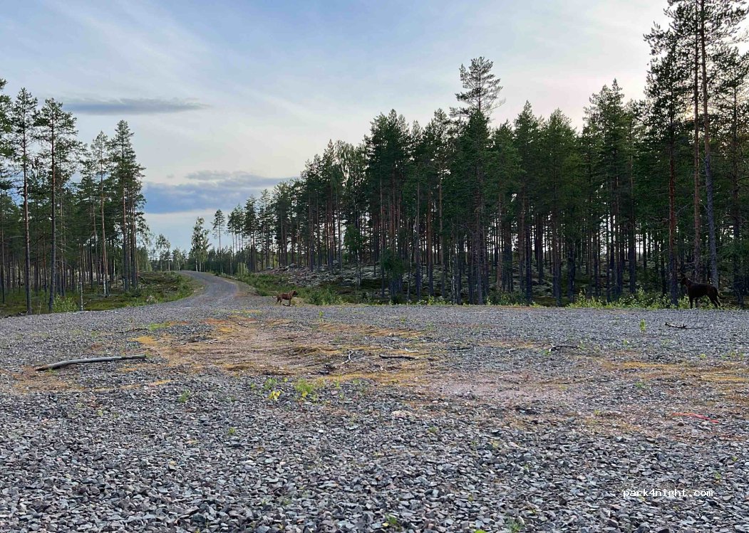 (792 93) Johannisholm - Unnamed Road — foto 2