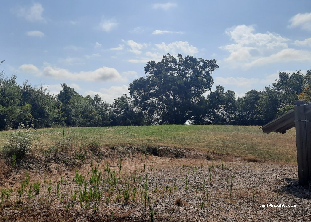 (31370) Le Pin-Murelet - 1400 Route du Village — foto 4