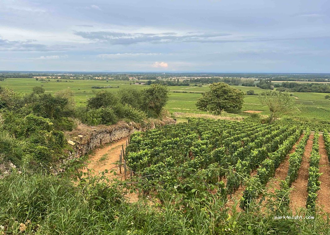 (21190) Meursault - Unnamed Road — foto 4