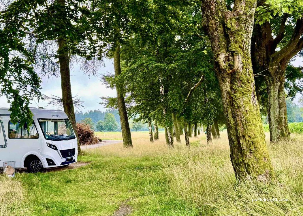 (92648) Vohenstrauß - 4 NEW40 — foto 5
