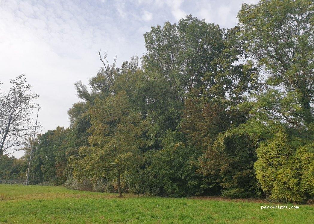 (74909) Meckesheim - 32 Schulstraße — foto 4